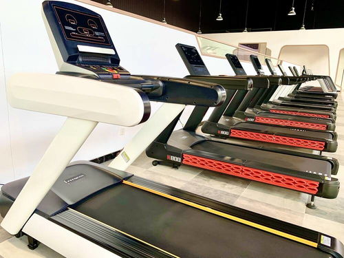 德州行 運(yùn)河文化、書畫藝術(shù)與扎染魅力